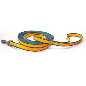 Durable material New style two-color training rope Tangle-free Soft on pet 4.92FT Obedience training Daily walk training Park training  Evening/e (Color: Orange-blue, size: 3M)